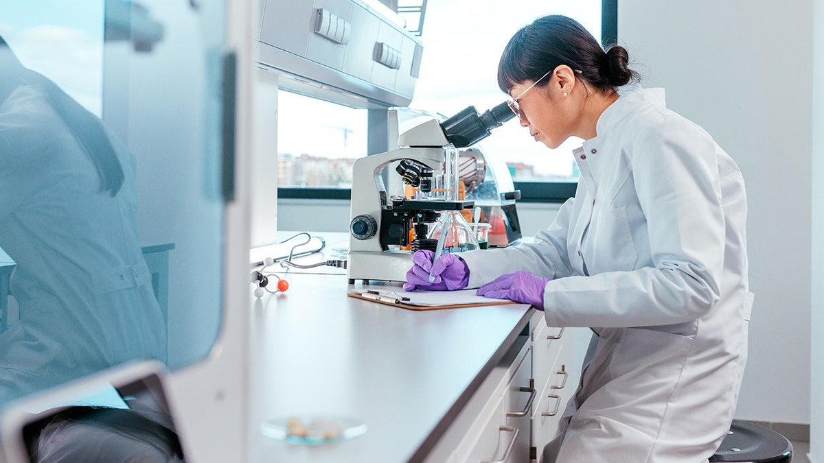 Woman in lab looking at microscope