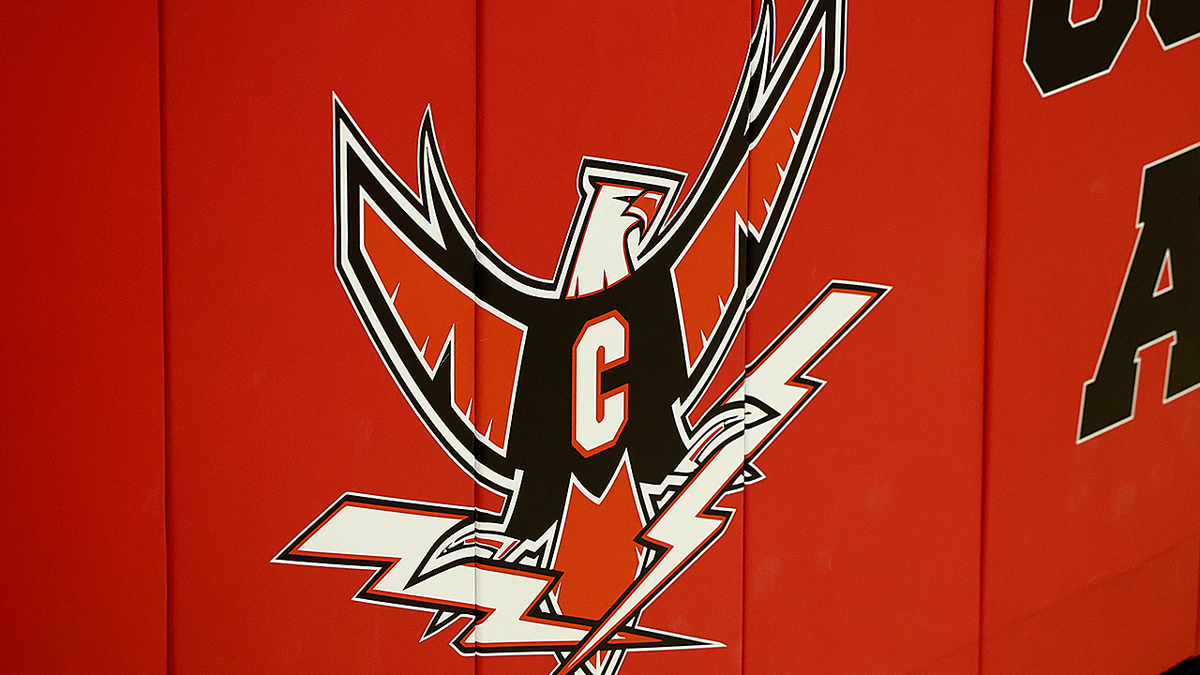 T-birds logo at Long Island high school