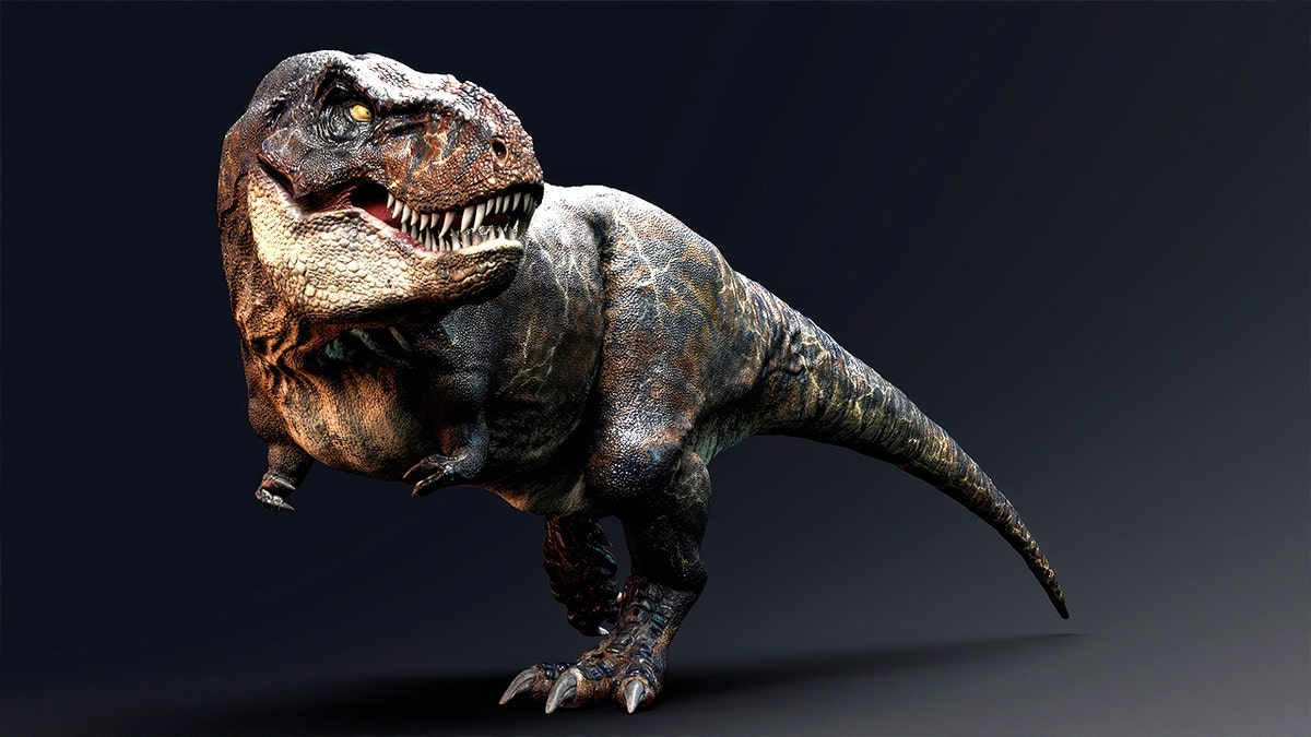3d rendering of realistic T rex
