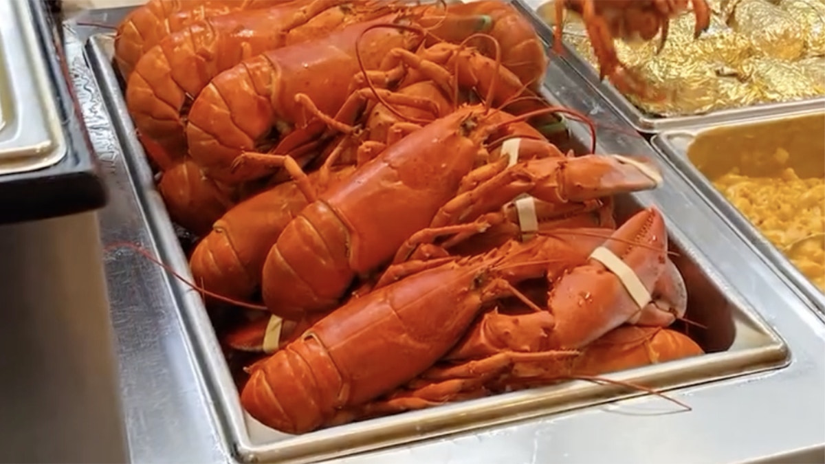 Lobsters at the all you can eat buffet at The Nordic buffet in Rhode Island.