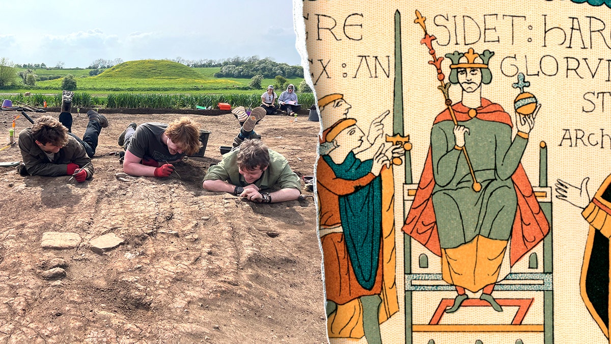Split representation  of archaeologists, Harold Godwinson successful  Bayeux Tapestry