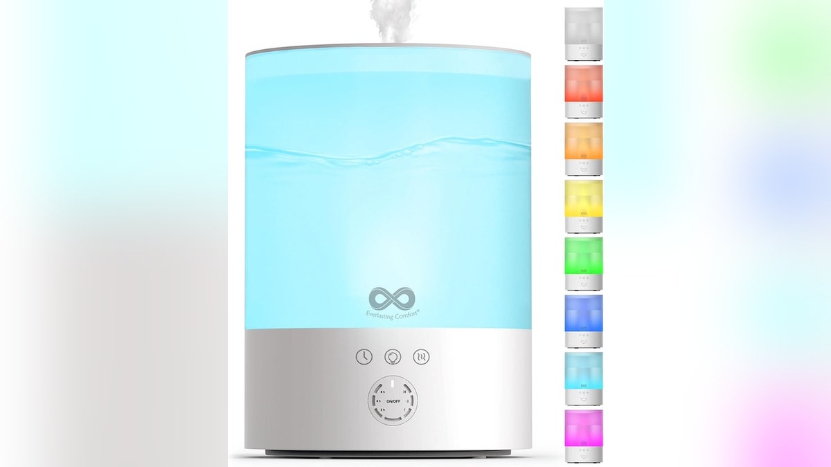 Keep the air in your heated home moist with a humidifier — your skin and plants will thank you.