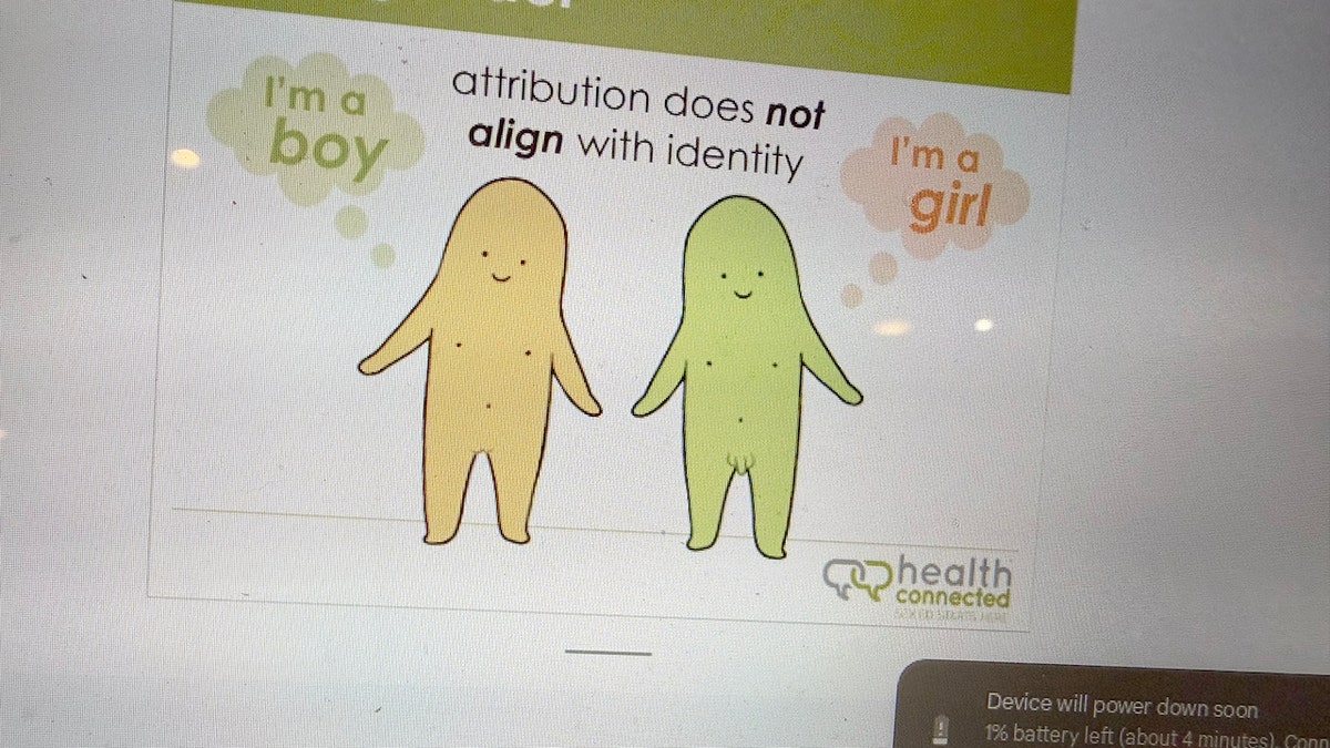 A transgender illustration California