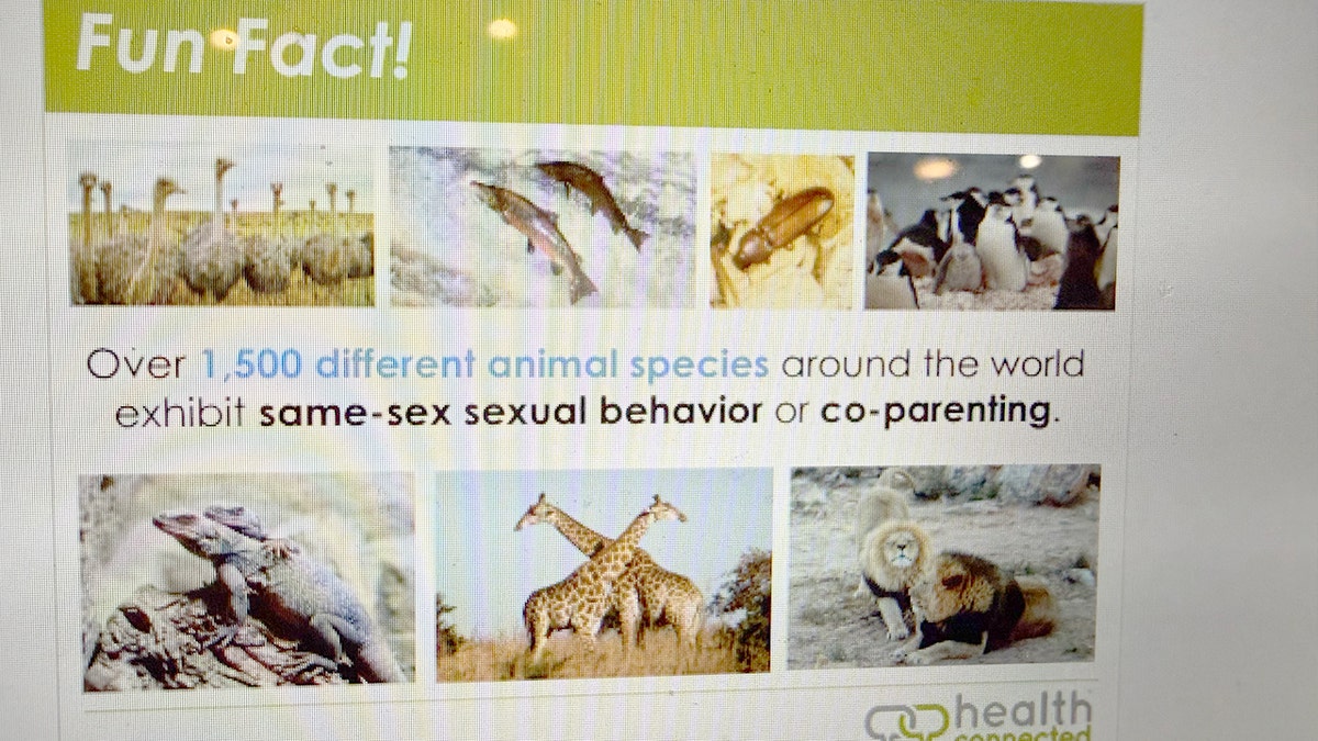Sex education slide California