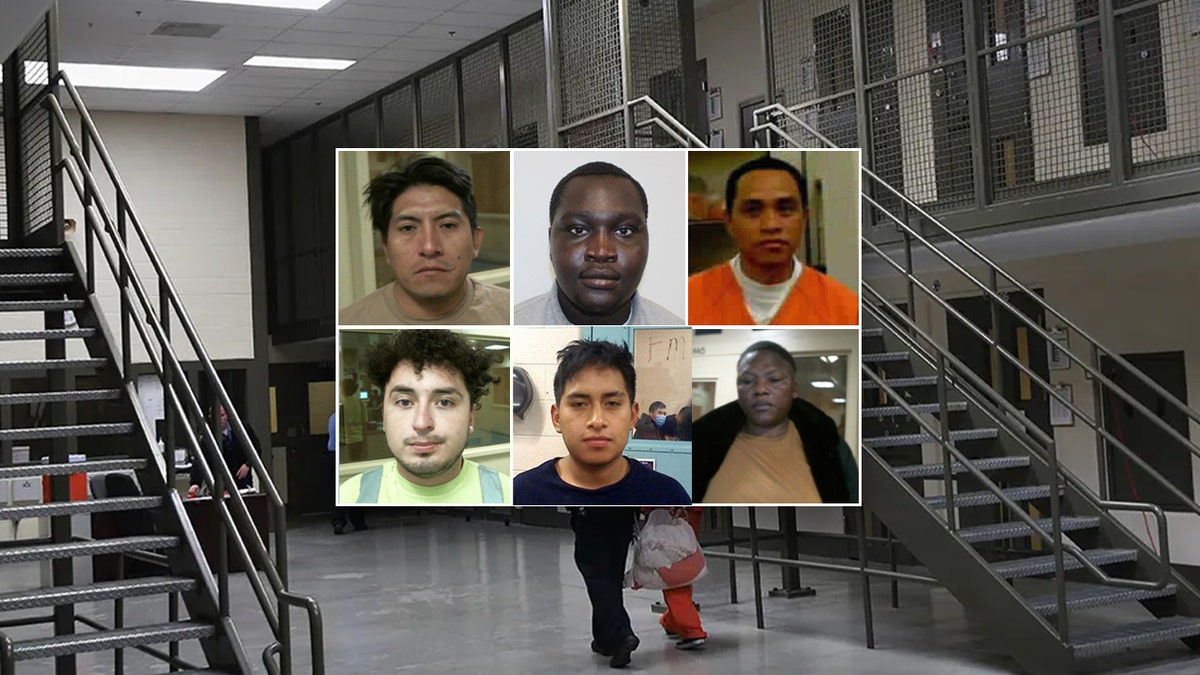 Criminal illegal aliens arrested in Minnesota