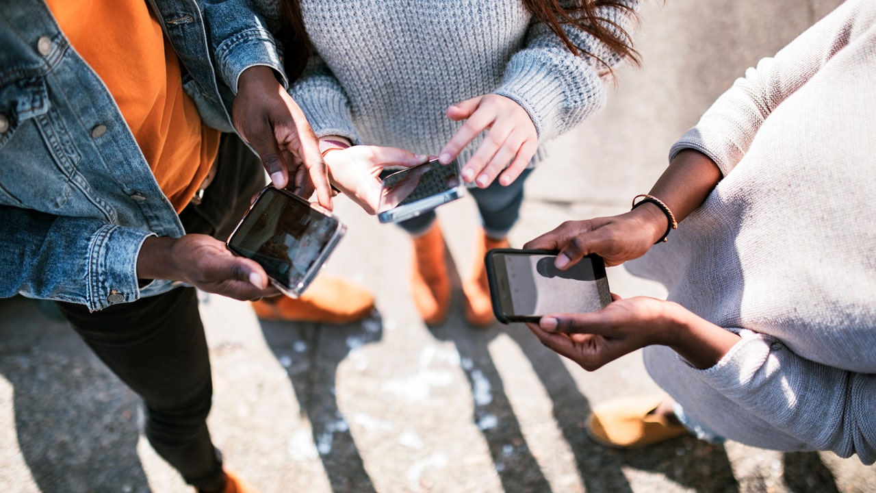 foxnews.com - Ashley DiMella - Cellphone health risks in focus of new government study: 'Very concerned