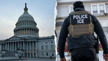 Capitol building and ICE agent