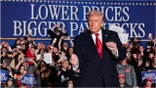 Donald Trump hits battleground state