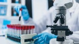 Scientist working with test scopes and microscope in lab.