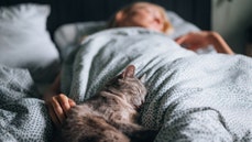 16 smart sleep upgrades for better rest – from plush pillows to breathable sheets - Fox News