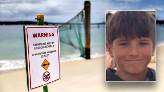 Boy, 12, dies following shark attack while swimming at popular cliff-jumping spot: 'We are heartbroken'