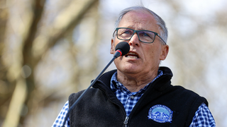 Top Dem lambasted for demanding Congress ban ICE from polling places: ‘Wait, why...?’