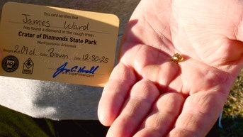 Man stumbles onto rare diamond treasure during Arkansas park trip with family: 'Knew it was different' - Fox News