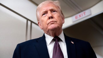 Trump says he thinks the Minneapolis ICE shooting victim was a professional agitator - Fox News