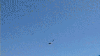 Beachgoers rush to rescue paraglider after 'incredible' 500-foot plummet into ocean - Fox News