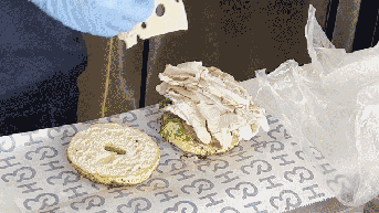 Iconic New York bagel brand muscles in on Florida, igniting fight over authentic flavor - Fox News