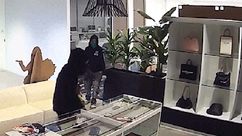 Heavily armed police swarm suspects during brazen handbag heist worth $100K - Fox News