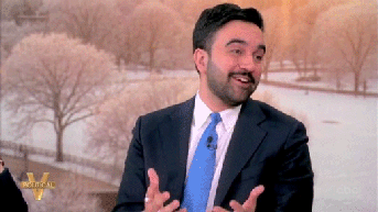 Zohran Mamdani confronted on appointee's past social media posts on 'The View' - Fox News