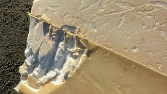 Surfer says it felt 'like being hit by a car' as shark snaps board during attack - Fox News