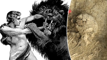 Ancient man survived brutal lion attack, suffered lifelong damage: 'Extremely rare'