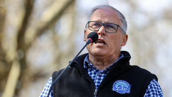 Top Dem lambasted for demanding Congress ban ICE from polling places: ‘Wait, why...?’