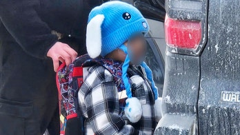 White House, DHS push back on claims ICE targeted 5-year-old in Minnesota, say child was 'abandoned'