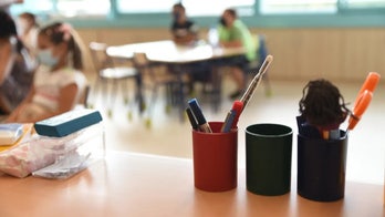 Blistering report exposes how national K-12 group's DEI agenda is trickling down to local schools