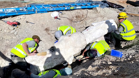 Massive dinosaur fossil unearthed by construction crew at national monument