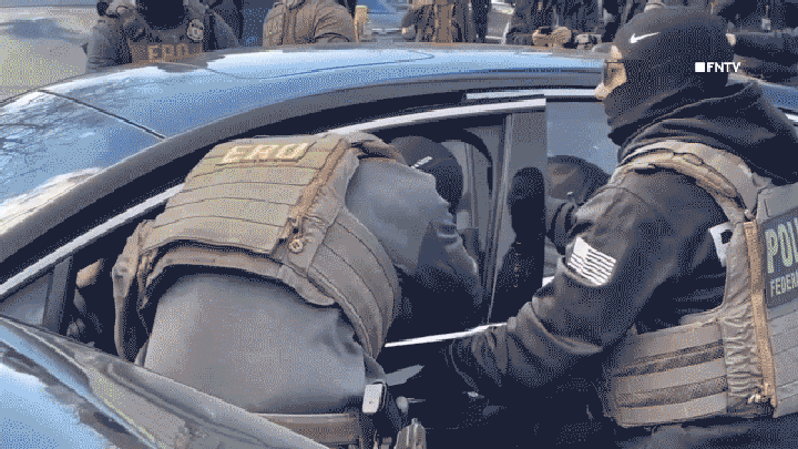 Woman seen on video pulled from car in tussle with federal law enforcement - Fox News