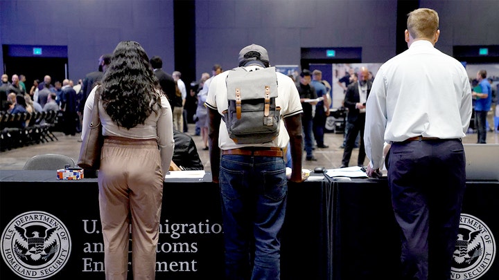 Liberal journalist claims ICE accepted her recruitment application without proper vetting