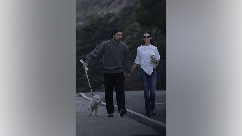 split by side of Nicola and Brooklyn Beckham taking a walk with their dog.