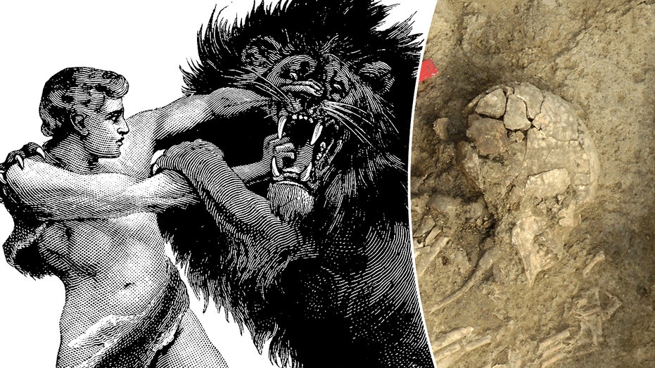 Ancient man survived brutal lion attack, suffered lifelong damage: 'Extremely rare'