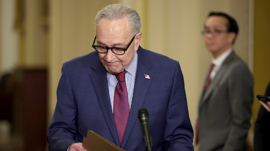 Illinois Dem Senate candidates split on backing Schumer as leader