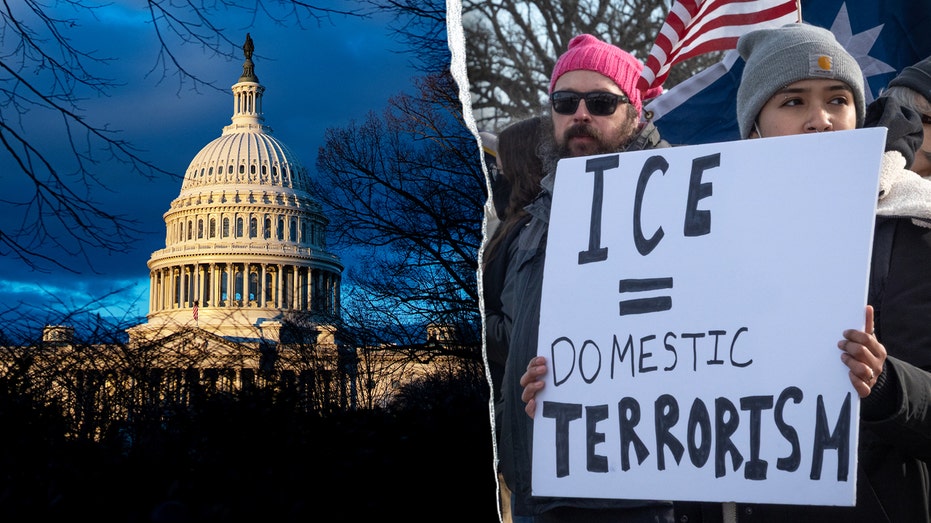 Picking the right fight: Congressional tensions rise in wake of Minnesota ICE-involved shooting