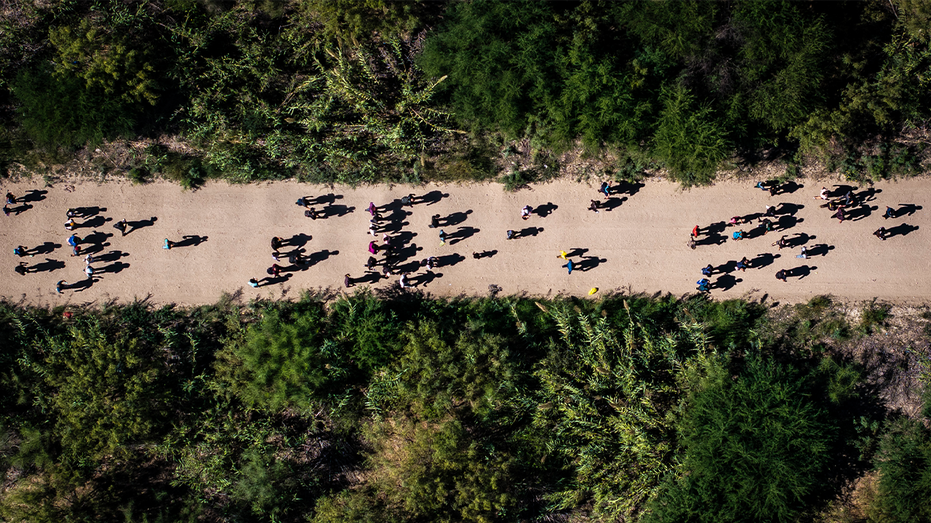 US drug overdose deaths plummet 20% as Trump administration cracks down on southern border