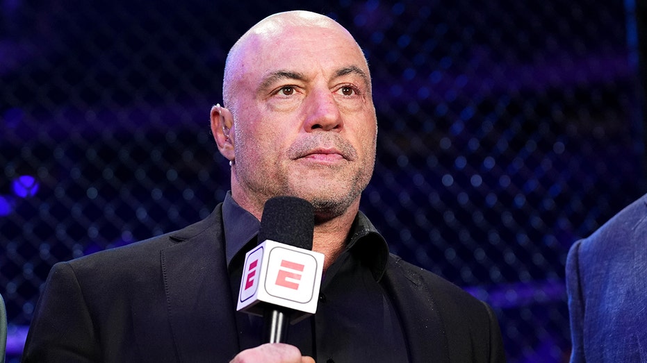 Rogan says it is 'horses---' that progressives believe expecting voters to have ID is like Jim Crow