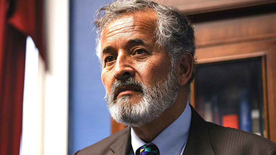 California Democrat appears to call to defund ICE, restart it from scratch