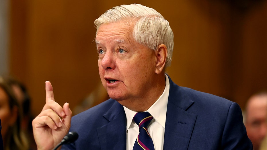 Lindsey Graham calls for US to use 'any means necessary' to stop the people behind the killing of Iranians