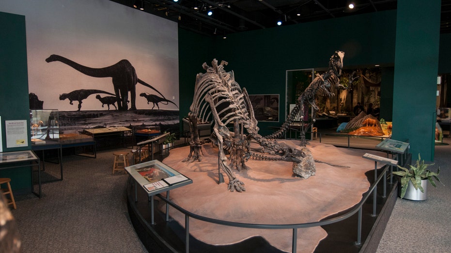 Twin Cities museums slam their doors Friday as they take sides in 'ICE-Out' strike