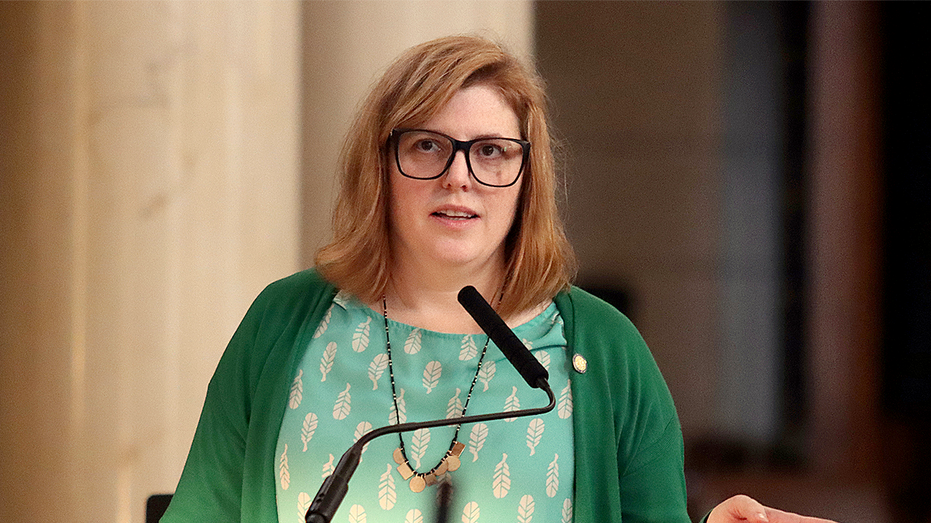 Nebraska state senator caught on video removing Founders' portraits defends actions