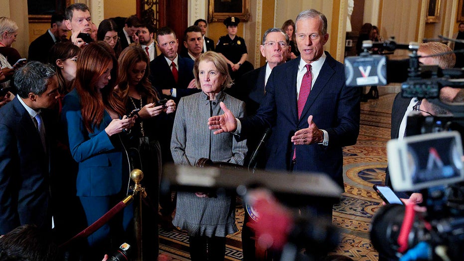 Senate Republicans weigh Dem demand to split DHS bill, turn to short-term extension to avoid shutdown