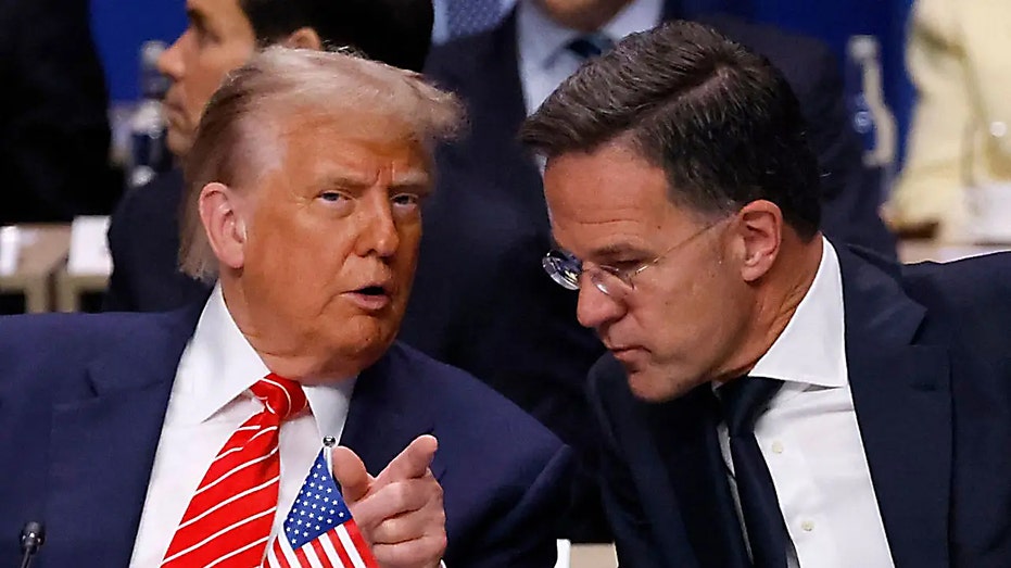 Top NATO official reveals details of stunning meeting with Trump that produced Greenland deal 'framework'