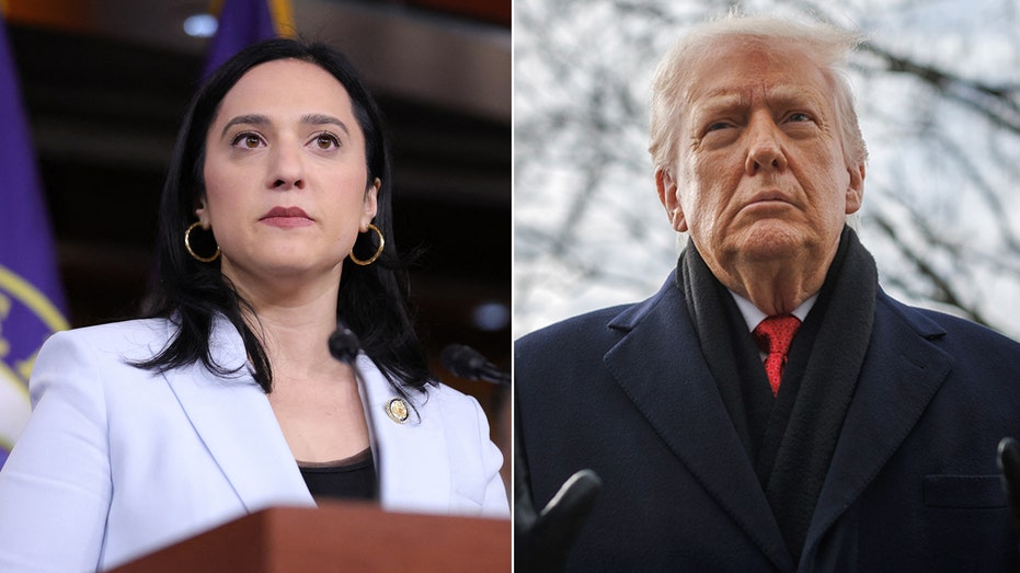 House Democrat calls Trump 'extremely mentally ill' after Greenland remarks, urges 25th Amendment removal