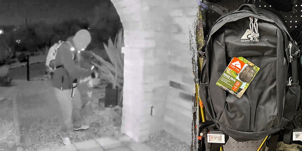 Jason Pack explains FBI backpack probe in Nancy Guthrie missing person case | Fox News