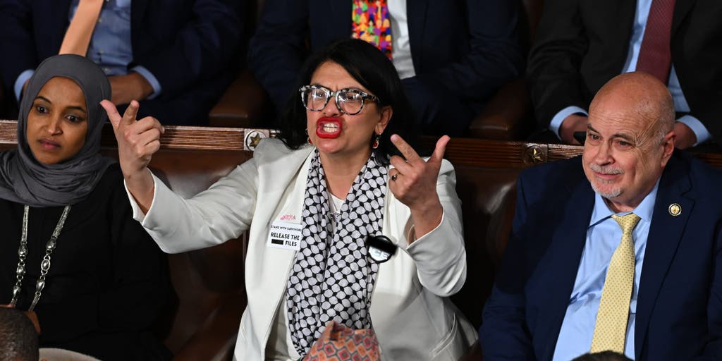 'Squad' member wears 'F--- ICE' pin on House floor during Trump address
