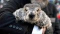Punxsutawney Phil kind of, sort of throws out the first pitch at a Pirates game - Fox News