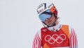 Lindsey Vonn shares more heartbreak, revealing her dog died day after Olympics crash - Fox News