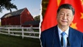 China&rsquo;s crop-control chokehold puts America&rsquo;s dinner table in danger - Fox News