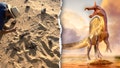 New 'hell heron' Spinosaurus species found in remote Sahara 70 years after fossil clue - Fox News