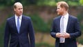 Prince William deliberately distanced himself from Prince Harry as he prepares for the throne: butler - Fox News